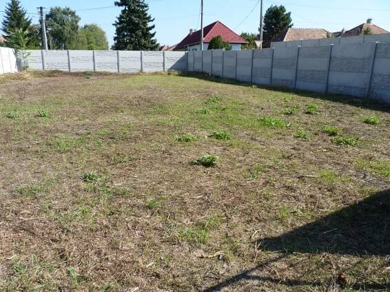 Predaj, stavebný pozemok, Palárikovo - Zámocké Reality