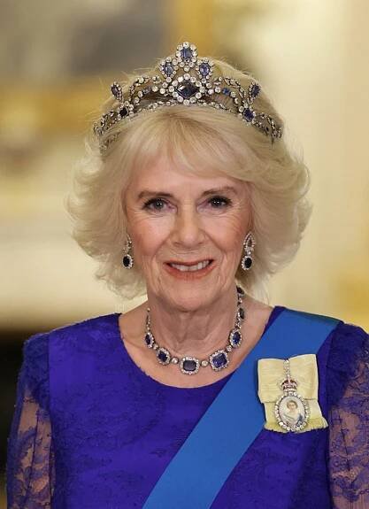 Queen Camilla is pictured during the state banquet at Buckingham Palace on November 22, 2022 in London, England (Chris Jackson/Getty Images)