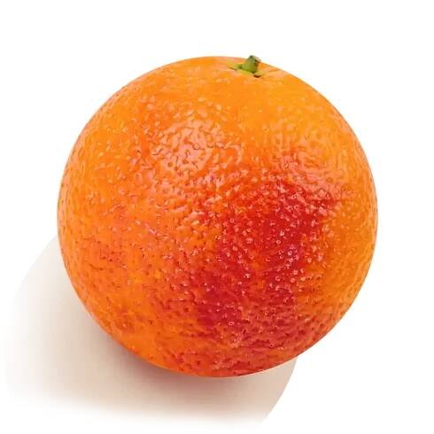 Sunkist | California Sunshine