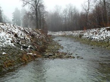 Povodí Moravy kácí nebezpečné dřeviny v korytě řeky Desné - Povodí Moravy