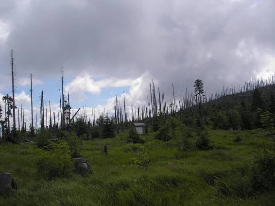 Šumava, Třístoličník - trojmezí - Caravan24.cz