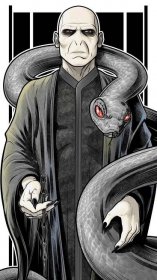 Lord Voldemort Snake Nagini Wallpaper