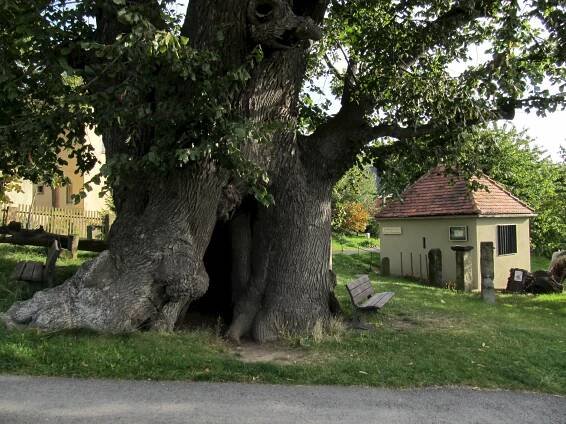 Lipové muzeum Schmorsdorf