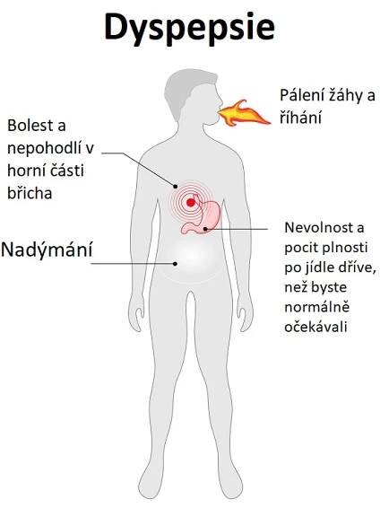 Dyspepsie je termín používaný k popsání bolesti nebo nepohodlí v horní části břicha nebo diskomfortu spojeného s trávením