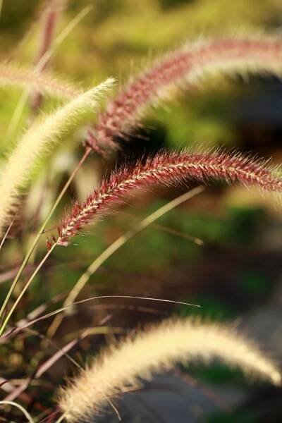 2011 09 29_1912_edited-1