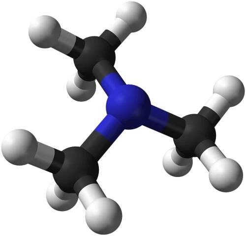 Soubor:Trimethylamine-3D-balls.png