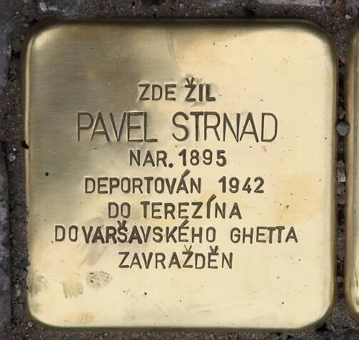 Pavel Strnad, Polská čp. 1098/6