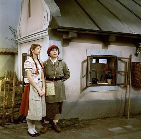 Burácení s Burácem (TV Movie 1981)