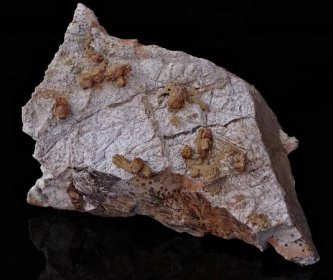 wulfenit 14 x 8 x 8cm - Minerály a zkameněliny