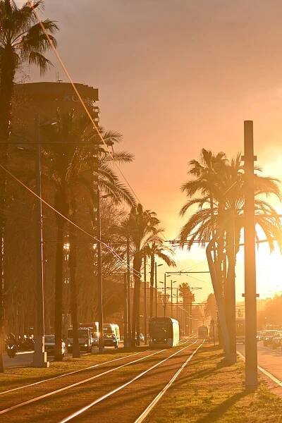 Soubor:Barcelona, Alstom Citadis 302 č. 17 sunset Avinguda Diagonal.jpg
