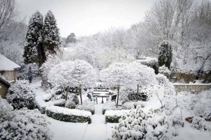 a garden covered in snow