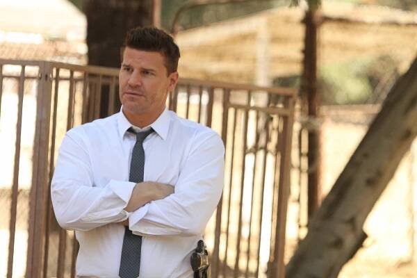 Sběratelé kostí - Ve spárech tygra - Z filmu - David Boreanaz