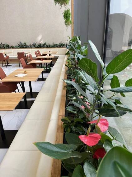Interiérové rostliny v Piazza Caffé v pasáži Omega v Brně.