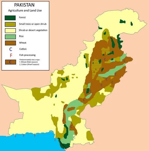 Agriculture in Pakistan - Wikipedia