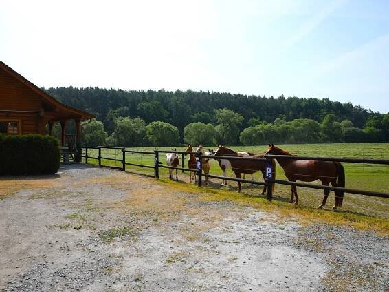 Holiday Home MB Ranch Saloon - Zruč-Senec | Ubytování a Recenze 2025