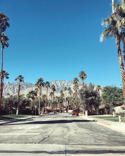 Joshua Tree & Palm Springs - Things To Do, Road Trips