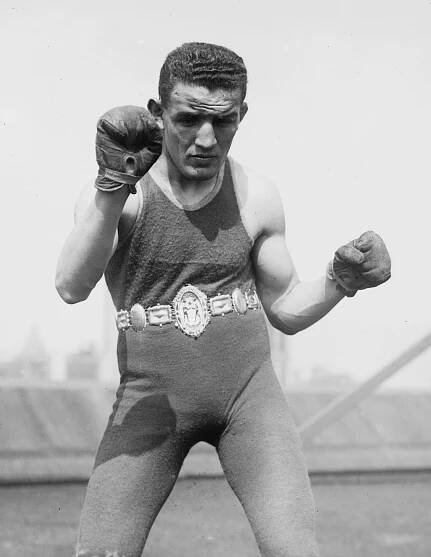 Harry Stone