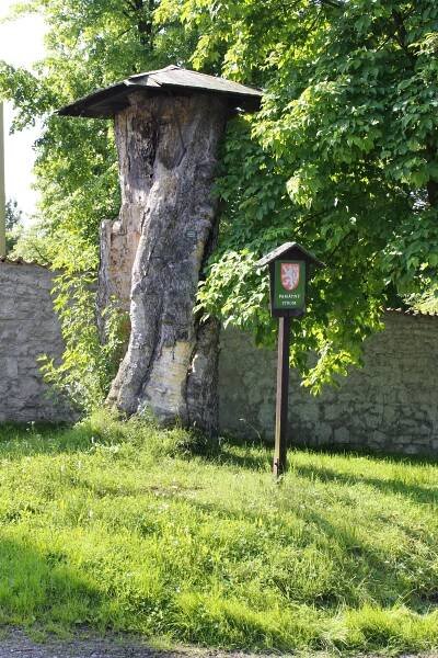 Seznam památných stromů v okrese Beroun – Wikipedie