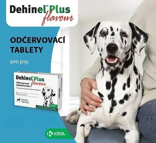 Odčervovací tablety pro psy. Dehinel.