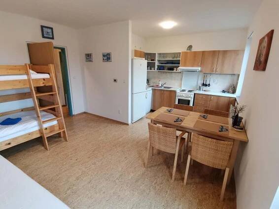 Apartmán na horách - foto 3