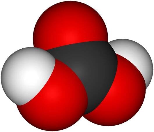 carbonic acid - Wikidata