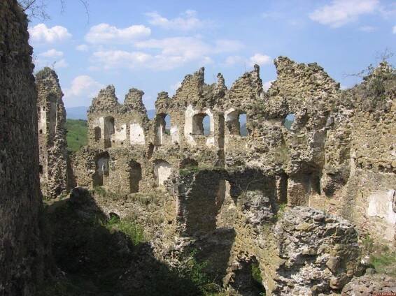 7. týždeň - bizonvitazi.sk