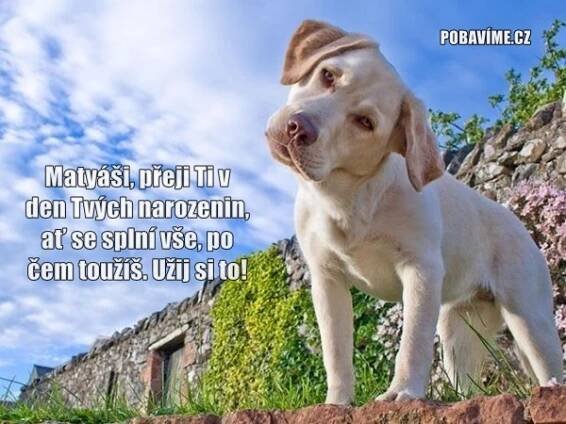 Přání k svátku pro Karla | Pobavime.cz