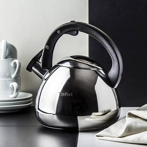 K2481574 NEREZ.KONVICE INDUKCE 2,7 TEFAL