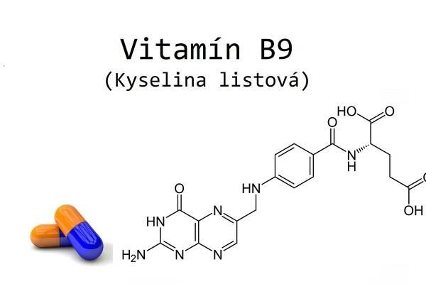 kyselina listová vitamin b9