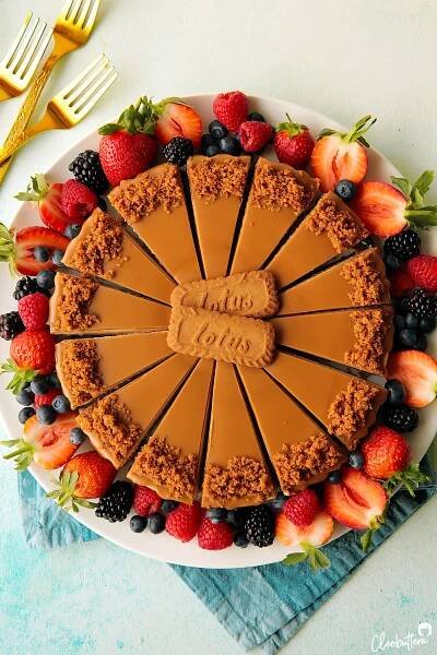 No-Bake Lotus Biscoff Cheesecake | Cleobuttera