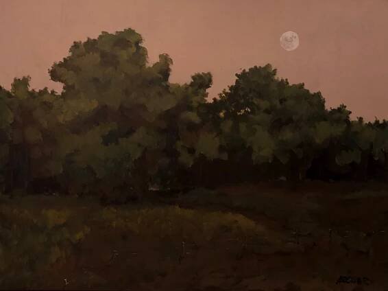 Moonlit Field