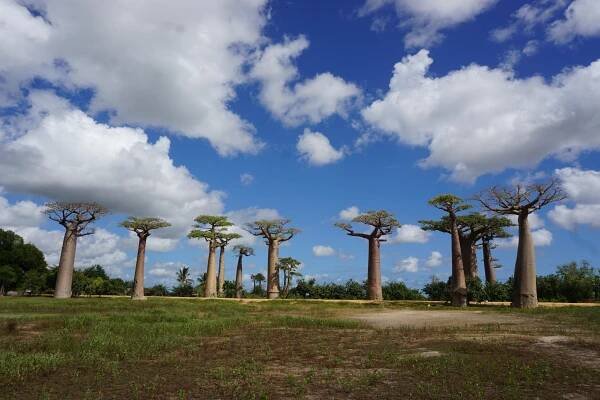 A PRACTICAL MADAGASCAR TRAVEL GUIDE FOR A GREAT TRIP IN MADAGASCAR