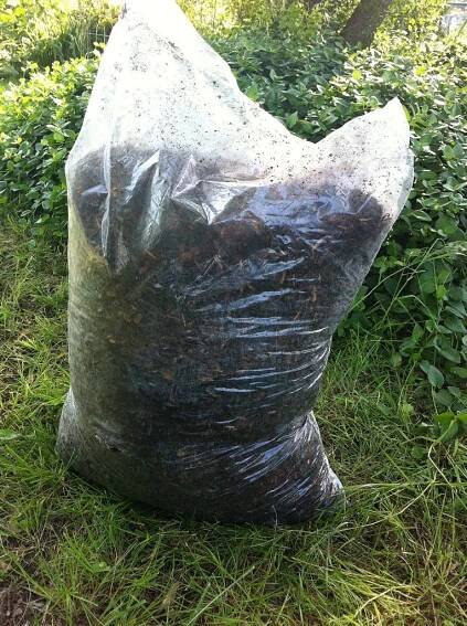 Add Mulch for Effect...