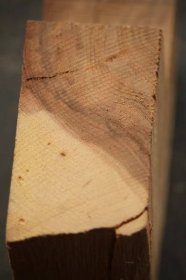 Listnaté tvrdé dřeviny :: Poznej-drevo