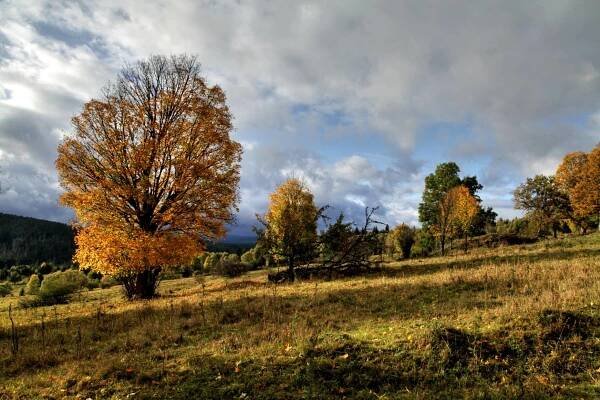ŠUMAVA… tady je náš domovZa krásnější Vimperk | Za krásnější Vimperk