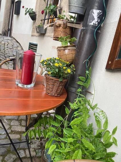 Švejk Restaurant foto 3