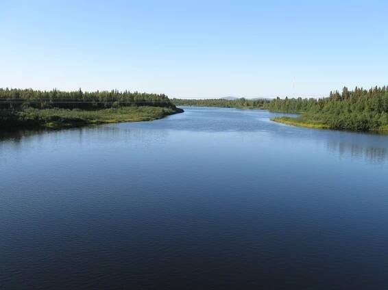Kitinen