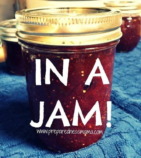 In a Jam! Homemade Jam is Love - PreparednessMama