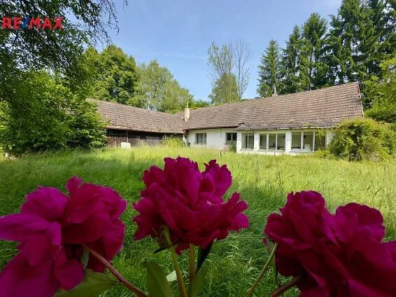 Rodinný dům, pozemek 2.638 m2, Nová Ves nad Lužnicí | Reality.iDNES.cz 