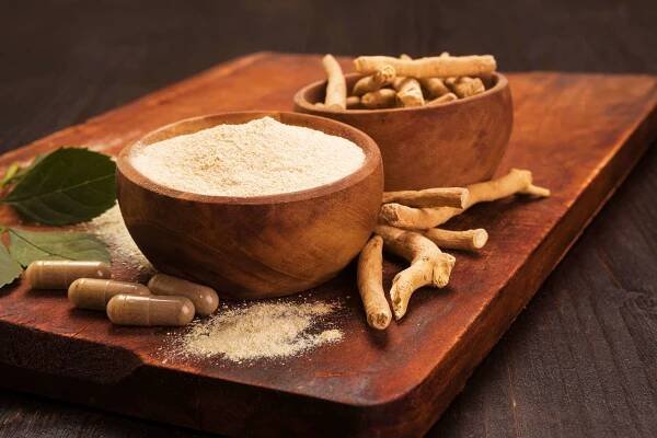 Složení eJOY® – Ashwagandha (Ašvaganda, Withania somnifera, Withania opojná, indický ženšen) jaké má dávkování, její účinky pro muže a ženy a zkušenosti s ní