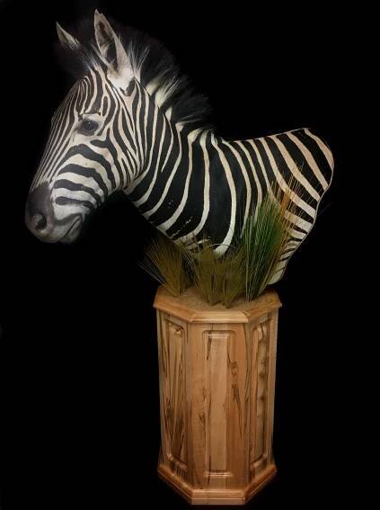 Otten Brothers Taxidermy Shoulder Mounts | Otten Brothers Taxidermy