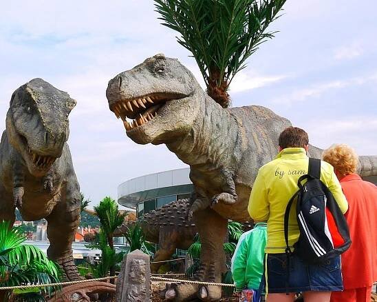 THE 10 BEST Water & Amusement Parks in Czech Republic (2025)