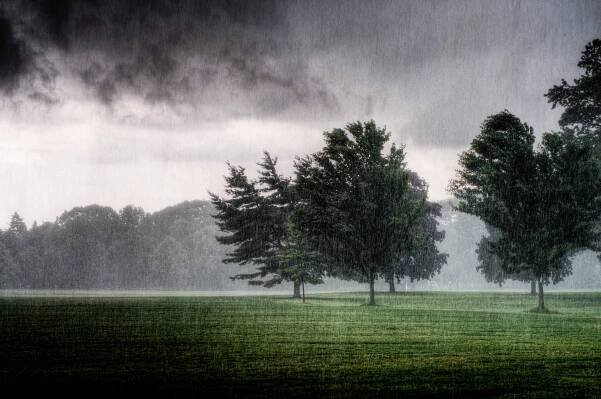 Stormy Days