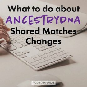AncestryDNA Shared Matches Changes: What to Do