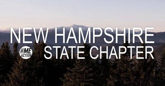 New Hampshire State Chapter Banner