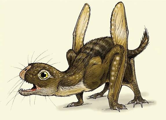 Grafiken und Illustrationen von Maija Karala - Dinodata.de