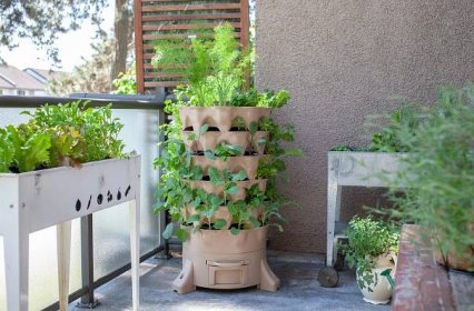 Co pěstovat na balkoně: tipy a rady pro úspěšné zahradničení na balkoně