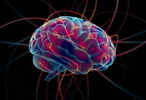 Neuroplasticita mozkových principů kognitivního vývoje / Články
