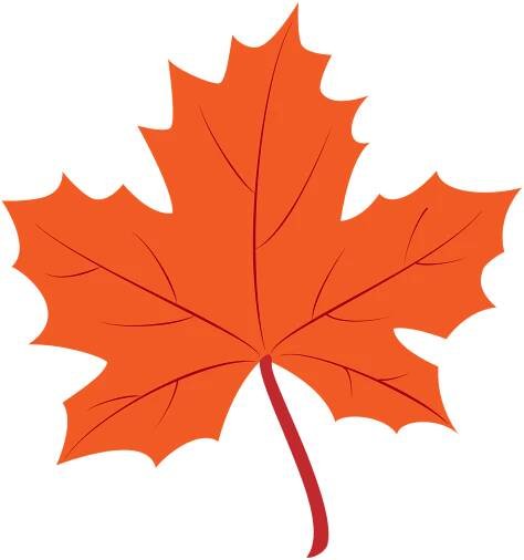 Maple leaf vector clipart images