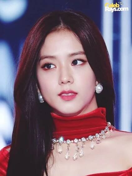 kim ji-soo net worth